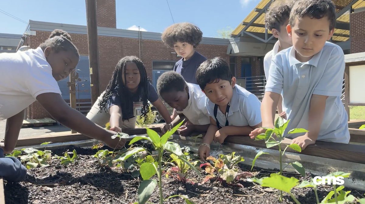  Elementary students explore garden beds during ecosystem lesson